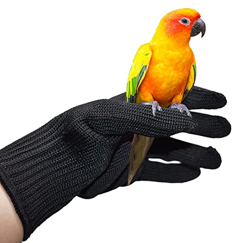 Sonhomay Vogel-Trainingshandschuhe für Kleintiere, Schutzhandschuhe für Kleintiere, Eichhörnchen, Hamster, Papageien, Nymphensittiche, Finken, Ara von Sonhomay