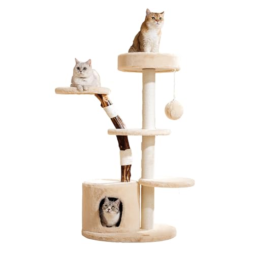 Sopapets Kleiner moderner einzigartiger ästhetischer Kratzbaum für Indoor-Katzen, groß, Erwachsene, 117,8 cm hoch, natürliches echtes Holz, mit Kratzbaum, Höhle, Sitzstangen, luxuriös, stabiles von Sopapets