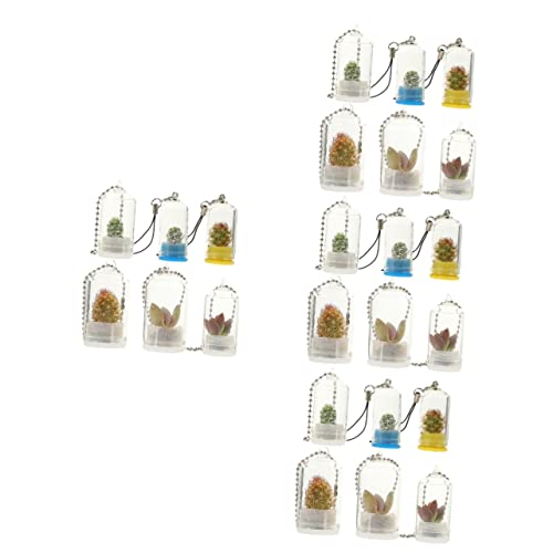 24 STK Schlüsselanhänger Terrarienset Erwachsene Luftpflanze Mini-Pflanzen Schlüsselbund-vermehrungshalter Pflanzenterrarium Pflanzendekorationen Vase Baby Glas Hängend Wandbehang von Sosoport