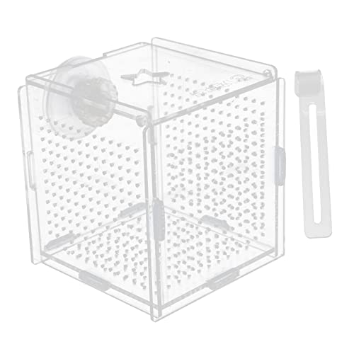 Sosoport 1 Satz Betta-Box Netz Vakuum Tank tauchfähig Panzer Easy putz aquaristik zubehör Isolationsbox für Fische Zuchtbrüterei für Aquarien Brutinkubatoren für Aquarien Acryl Transparent von Sosoport