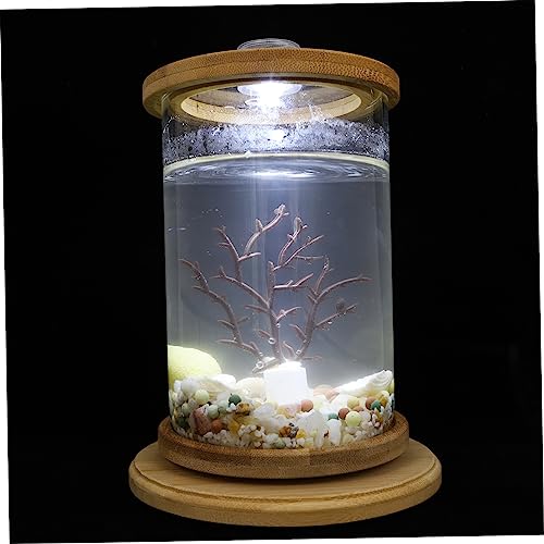 Sosoport 1 Satz Desktop Micro View Aquarium Haushaltsfischaquarium Bürodekoration Desktop-Aquarium-kit Desktop-Dekoration Transparentes Fischaquarium Fischglas Für Den Haushalt Bambus Brown von Sosoport