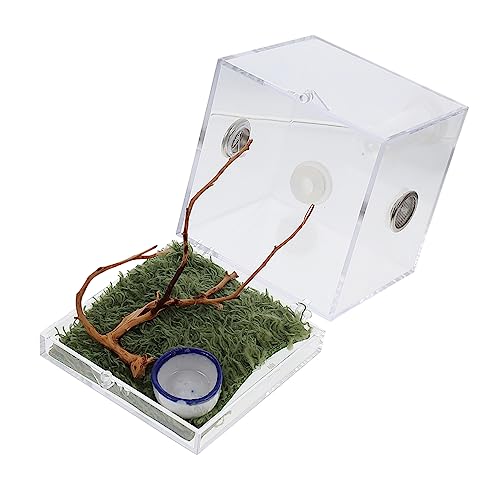 Sosoport 1 Satz Springspinnen-Zuchtbox Insektenschutzbecken Reptilienversteck Schlangengehege insektenhäuser Mini Terrarium Tier Mini-Luftbefeuchter Insektenhaus Spinnenhaus Acryl von Sosoport