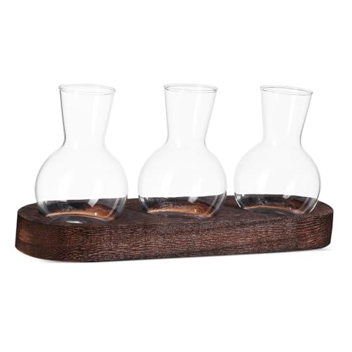 Sosoport 1 Set Glas Anzuchtstation Hydrokulturtopf Desktop Pflanzgefäß Aus Glas Wasseranzuchtgefäß Klares Pflanzenterrarium Mit Sockel von Sosoport