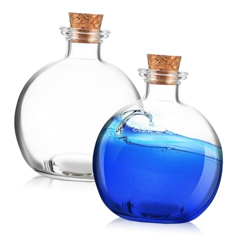 Sosoport 2 STK treibende Flasche Pflanzen Terrarium Fische Aquarium dekoäste Terrarienglas Terrarienbehälter Glasterrarium Pflanzenterrarium Flasche mit Mikrolandschaft von Sosoport