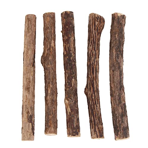 Sosoport 25st Polygonum Molar Stick Zahnbehandlungen Für Katzen Beiß Katze Hüpfend Katzenhalsband Katzenspielzeug Katzenfutter Katze Necken Stange Kätzchen Behandelt Polygonum Holz von Sosoport