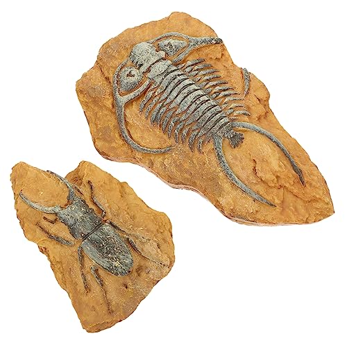 Sosoport 2er-Box Simuliertes Harzfossil Leopardgecko-zubehör Fossilien-ausgrabungsset Eidechsenspielzeug Für Kinder Meeresschildkrötenspielzeug Reptilienhaut Leopard Gecko Tank Zubehör von Sosoport