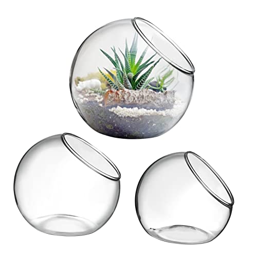 Sosoport 3 Stück Terrarium Luftpflanzen Vasen Aus Glas Dekorative Tisch Pflanzgefäße Für Heimbüro Moderne Pflanzenbehälter Für Kreative Raumgestaltung Transparent Und Stilvoll von Sosoport