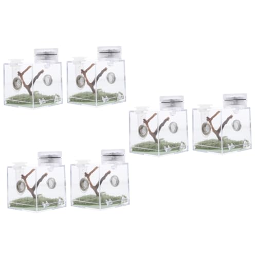 Sosoport Insekten Terrarium 3 Teilige Box Springspinne Zuchtbox Haustiergehege Tierlaufstall Aquariumzubehör Reptilienzubehör Mini Lebewesen Spinnenträger Kleiner Luftbefeuchter von Sosoport