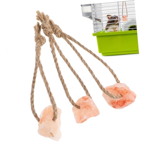 Sosoport 3st Kleiner Haustier Salz Block Schweine Futter Für Meerschweinchenkäfige Kaninchen Salz Für Hamster Rattenfutter Hängendes Kausalz Salzleckstein Für Große Hunde Mineral Salz Block von Sosoport