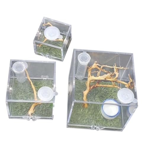 Sosoport 3pcs Springspinnen Zucht Fall Beobachtung Fenster Reptil Feeder Box für und Reptilien von Sosoport