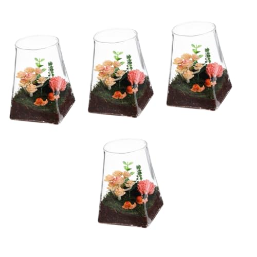 Sosoport 4 Stück Ökologische Mikrolandschaftsflasche Vase Terrarium terrarien pflanzenkübl glasflasche deko pflanzplane sehpa Glasdekorationen Pflanzgefäß aus Glas Mikro-Landschaftsflasche von Sosoport