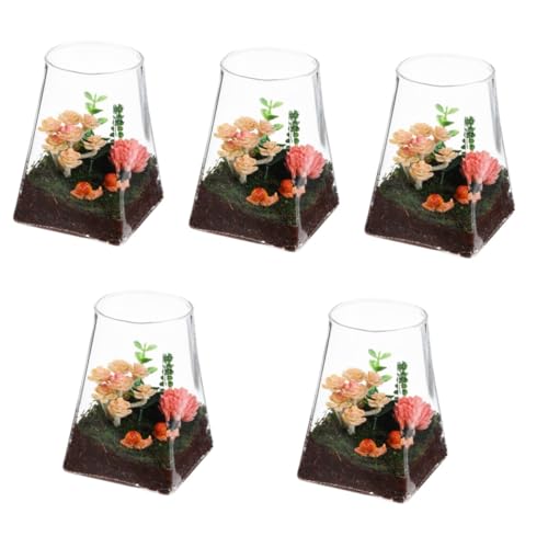 Sosoport 5st Ökologische Mikrolandschaftsflasche Blumenvasen Terrarium Vase Topf Ausbreitungsstation Mikro-landschaftsflasche Glas von Sosoport