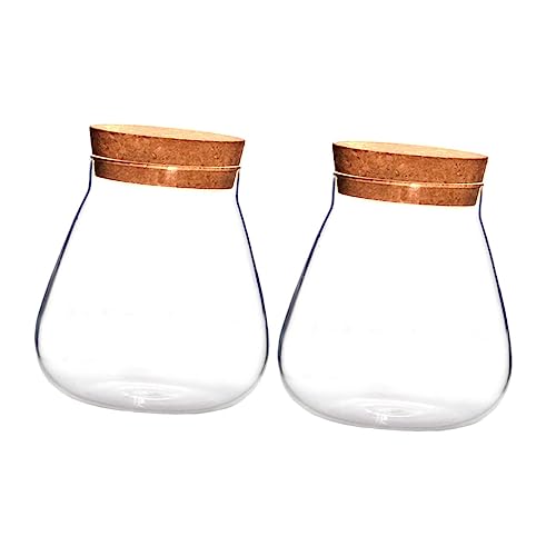 Sosoport 6 STK Flasche aus Korkglas aufbewahrungs gläser kaminregal kerzenmanschette Flur Terrarien-Hydrokulturpflanzer Luftpflanzen ökologische Flasche Mikrolandschaft Terrarium Holz Brown von Sosoport