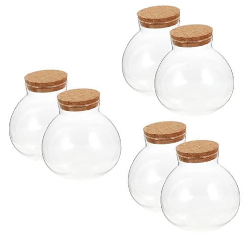 Sosoport 6 STK Ökologische Mikrolandschaftsflasche Glaskanister Schreibtischaufsatz Pflanzenvermehrungsstation Rundes Glas Hydrokultur-glasvase Glasflasche Kork Aquarium Haushaltsprodukte von Sosoport