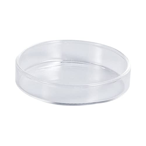 Sosoport Futterbecken für Garnelen Fish Tank Feeding Bowl Süßwasser-Tray-Futter Futterschalen für Garnelen Gecko-Futterschale Garnelenfutter runde Gerichte Garnelenfutterschale aus Glas von Sosoport