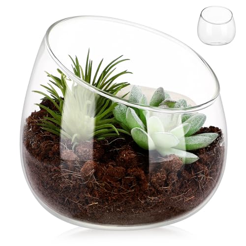 Sosoport Glasvase Terrarienschale Terrarienbehälter kleine blumentöpfe Terrarium für Pflanzen Dekorative Blumenvase Glasblumenvase Bonbonglas aus Glas klare Glasschalen Transparent von Sosoport