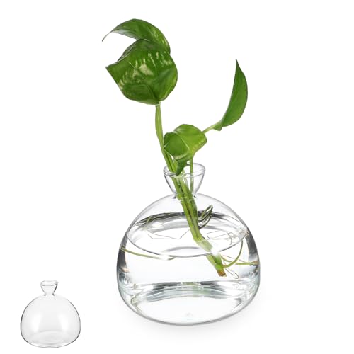 Sosoport Vasen Klein Tischdeko Blumenvase Glas Pflanzgefäß Klare Glasvase Für Wasserpflanzen Blumenarrangements Und Terrarien Dekorative Glasvasen Für Tischdekoration Hochzeiten Und Feste von Sosoport