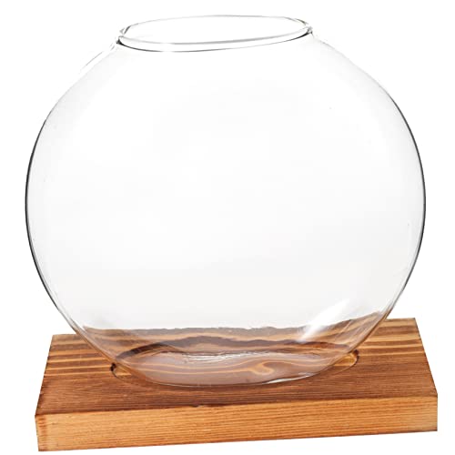 Sosoport Hydrokultur-Dill-Ornamente Für Ornamente Für Vasen Schüssel Wasserpflanzer Wasserspiegel Ästhetische Raumdekoration Wohnkultur Aquarium Aquarienschale Tank Links Holz Sosoport Hydrokultur-Dill-Ornamente Für Ornamente Für Vasen Schüssel Wasserpflanzer Wasserspiegel Ästhetische Raumdekoration Wohnkultur Aquarium Aquarienschale Tank Links Holz von Sosoport