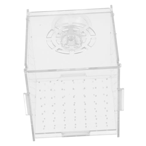 Sosoport Kasten Isolationsbox für Aquarien Aquarienzubehör Aquarium Zubehör Fischtank Trennung Zuchtbox mit Saugnäpfen Aquarium-Trennwand Zuchtfalle für Aquarien Acryl Transparent von Sosoport