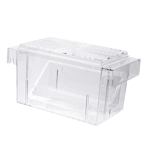 Sosoport Kasten Isoliertes Aufzuchtbecken Aquarium Inkubator Für Fischgarnelen Guppys Fisch-Eier-inkubator-Tumbler Betta Fisch Zuchtbecken Für Aquarien Garnelen Inkubator Transparent von Sosoport