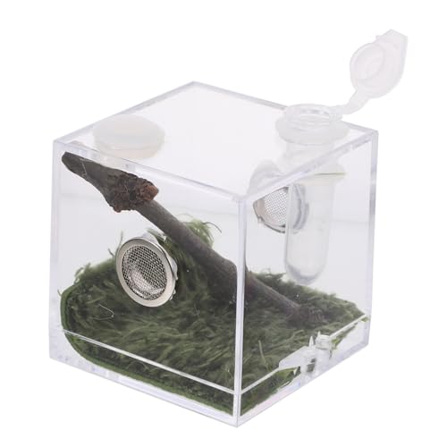 Sosoport Kasten Springspinnen-Zuchtbox Mini-Luftbefeuchter Spinnenhüter Froschträger Spinnencontainerkäfig Gehäuse Tank acrylbehälter glasgefäß Springspinnenfall Insektenlebensraum Fall von Sosoport