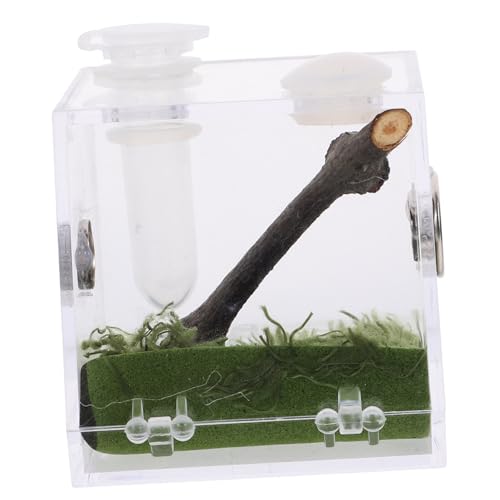 Sosoport Kasten Springspinnen-Zuchtbox Zuchtbehälter Reptil Lebensraum Käfig Springspinnen-Terrarium acrylbehälter glasgefäß Acrylbox luftbefeuchter Insektenbehälter Insektenlebensraum Fall von Sosoport