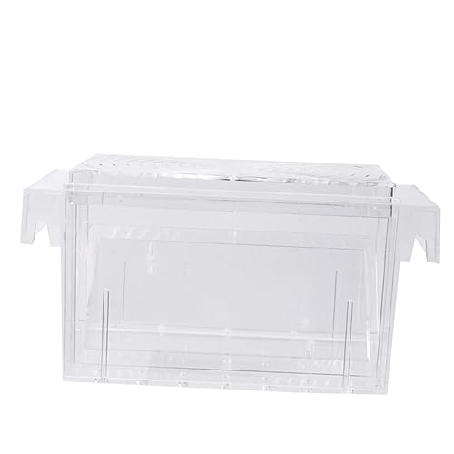 Sosoport Kasten isoliertes Aufzuchtbecken inkubator Aquarium Brüterei Inkubator für Fischgarnelen Garnelen Inkubator Fisch-Eier-Inkubator-Tumbler Zuchtbecken für Aquarien Transparent von Sosoport