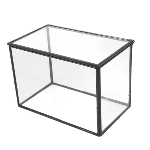 Sosoport Elegante Glas-Terrarium-Box Für Pflanzen Landschafts-Display- Moos-landschaftsbehälter Terrarium Für Zuhause von Sosoport