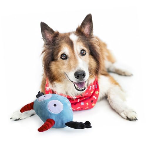 Sosoport Hundespielzeug interaktives Spielzeug funnytoys Hunde Spielzeug Dogs Toys Plüschia Themberchaud-Plüsch Spielzeuge Spielzeug für Haustiere Hundebälle singen Pet-Ball Hundeball von Sosoport