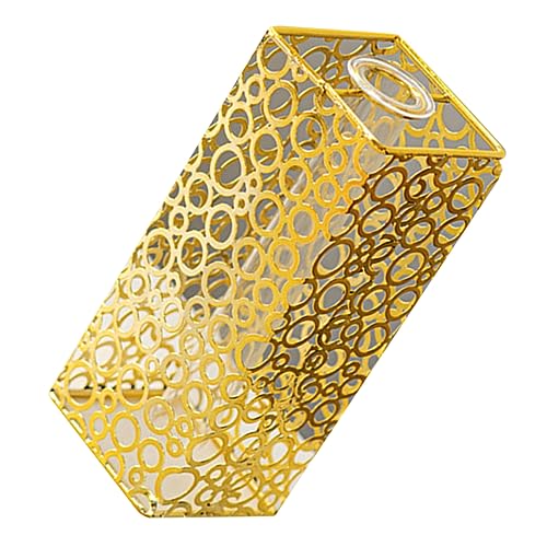 Sosoport Topf für hydroponische Pflanzen Anlage Container Vase Vase zur Dekoration Vasenregal Kleiner Topf graceling Gracy einmachgläser Vasen für Blumen Glasvase Ornament Eisen Golden von Sosoport