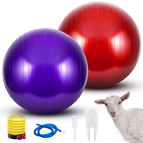 Sotiff Herding Ziegenball für Hunde, PVC, großer Übungsball mit Inflatorpumpe, Herding Ball für Ziegen, Hunde, Pferde, zum Spielen im Freien, Unterhaltungsspielzeug (55 cm, Lila, Rot) von Sotiff