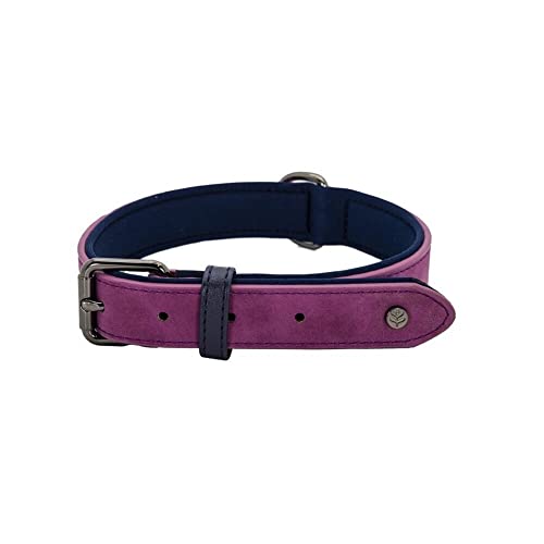 Sotnos Aquatech Brights Hundehalsband, Himbeere, L von Sotnos