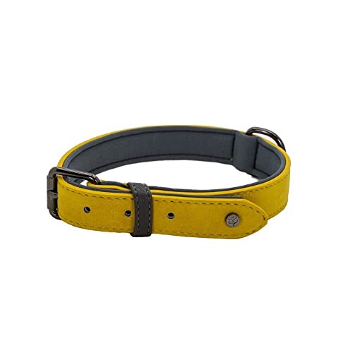 Sotnos Aquatech Brights Hundehalsband, Senfgelb, L von Sotnos