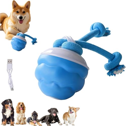 Power Tail 2.0 Dog Toy, 2025 New Barkzys Interactive Dog Toys with Motion Activated, Smart Jumping Moving Ball with Touch Activated, That Moves on Its Own for Dogs for Daily Training (1pcs) von Soumiey