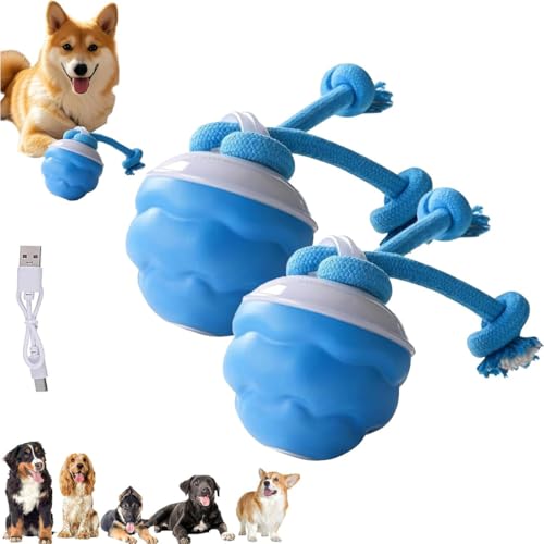 Power Tail 2.0 Dog Toy, 2025 New Barkzys Interactive Dog Toys with Motion Activated, Smart Jumping Moving Ball with Touch Activated, That Moves on Its Own for Dogs for Daily Training (2pcs) von Soumiey