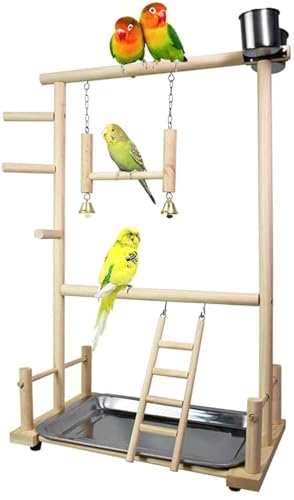 Papageien-Spielständer aus Holz, doppellagig, Vogelspielplatz, Vogel-Gymnastik, inkl. Leiter, Schaukelglocke, für kleine Sittiche, Cockatiels, Kegel, Finken, Budgie von SovZovy