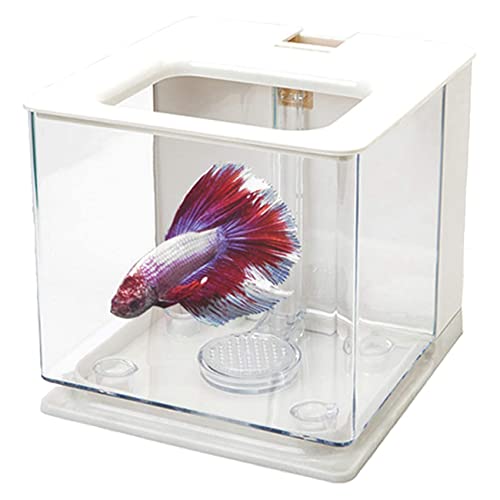 Spactz 2X Aquarium Aquarium Aquarium Einfach zu Wechselnde Wasser Acryl Kunststoff () von Spactz