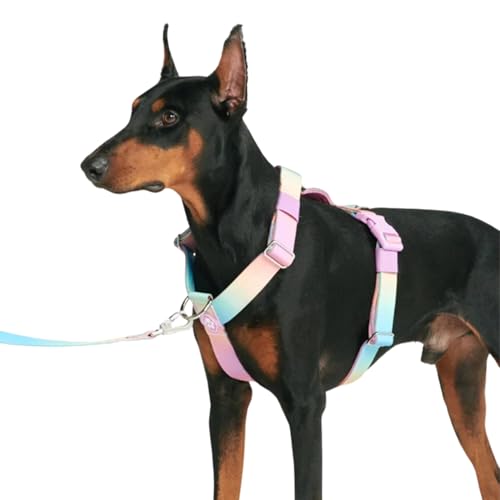 Spark Paws Großes Hundegeschirr ohne Zug, Halterdesign mit Frontclip, Robust und Strapazierfähig für Große und Starke Rassen - Pastel Icing, S von Spark Paws