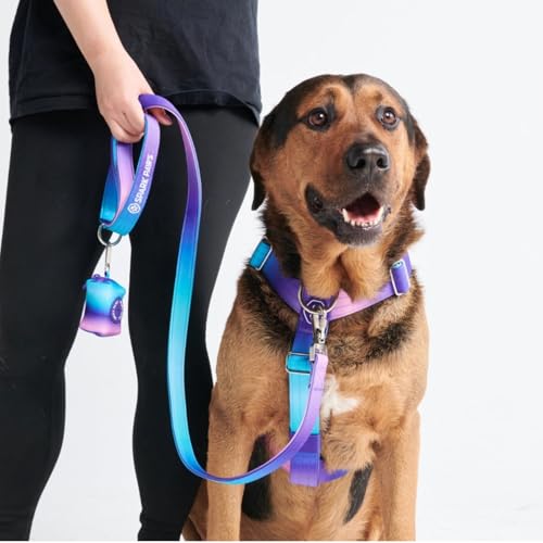 Spark Paws Großes Hundegeschirr ohne Zug, Halterdesign mit Frontclip, Robust und Strapazierfähig für Große und Starke Rassen - 90s Retro, L von Spark Paws