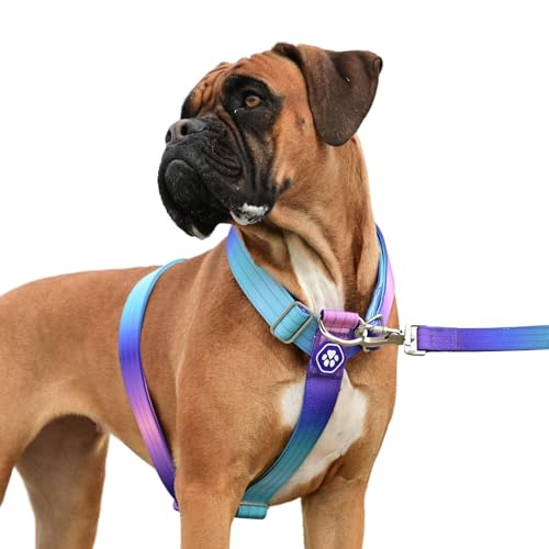 Spark Paws Großes Hundegeschirr ohne Zug, Halterdesign mit Frontclip, Robust und Strapazierfähig für Große und Starke Rassen - 90s Retro, M von Spark Paws