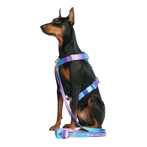 Spark Paws No-Pull Dog Harness - Designed for Safety and Control, Ideal for Large, Strong Breeds - Pitbulls, Boxers - 90s Retro, S von Spark Paws