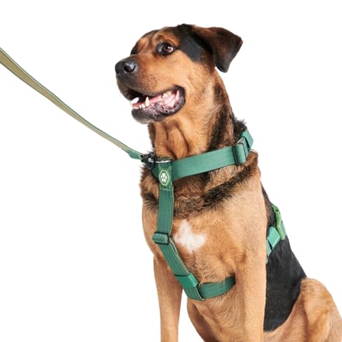 Spark Paws Großes Hundegeschirr ohne Zug, Halterdesign mit Frontclip, Robust und Strapazierfähig für Große und Starke Rassen - Green, L von Spark Paws