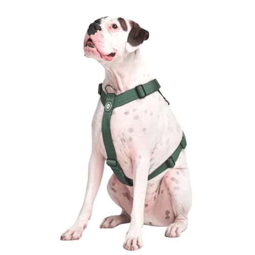 Spark Paws Großes Hundegeschirr ohne Zug, Halterdesign mit Frontclip, Robust und Strapazierfähig für Große und Starke Rassen - Green, M von Spark Paws