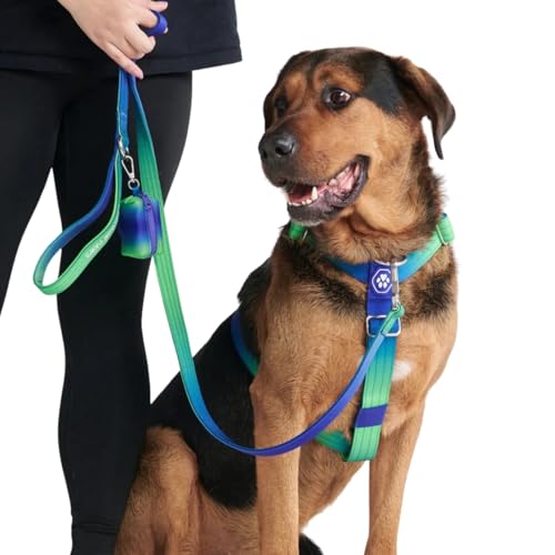 Spark Paws Großes Hundegeschirr ohne Zug, Halterdesign mit Frontclip, Robust und Strapazierfähig für Große und Starke Rassen - Lime Wave, L von Spark Paws