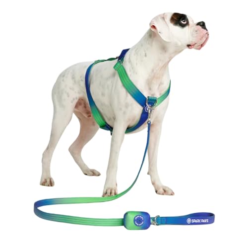 Spark Paws No-Pull Dog Harness - Designed for Safety and Control, Ideal for Large, Strong Breeds - Pitbulls, Boxers - Lime Wave, M von Spark Paws