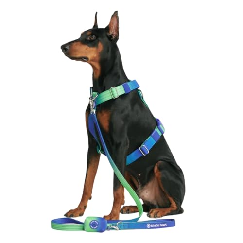 Spark Paws Großes Hundegeschirr ohne Zug, Halterdesign mit Frontclip, Robust und Strapazierfähig für Große und Starke Rassen - Lime Wave, S von Spark Paws