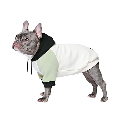 Spark Paws Hunde-Kapuzenpullover – Premium-Qualität, butterweich, hervorragender Komfort und Passform, beruhigende Fleece-Innenseite, geeignet für alle Rassen - Olive Cream - XL von Spark Paws