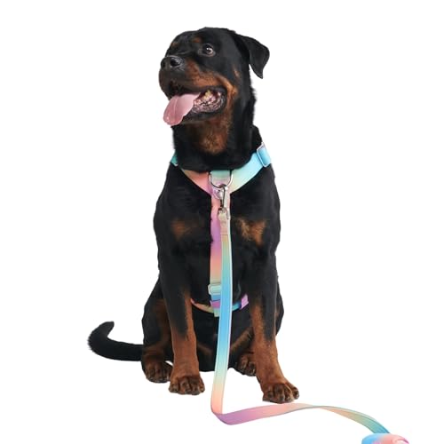 Spark Paws Großes Hundegeschirr ohne Zug, Halterdesign mit Frontclip, Robust und Strapazierfähig für Große und Starke Rassen - Pastel Icing, L von Spark Paws