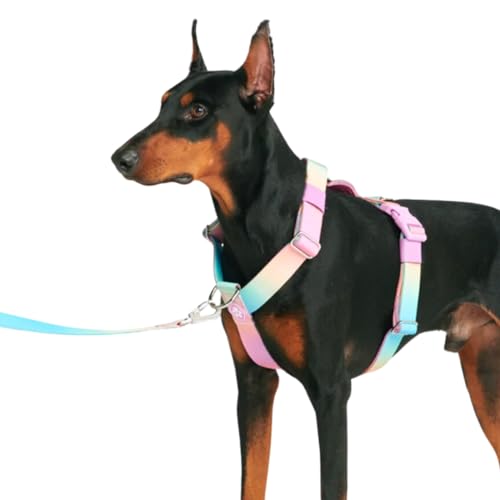 Spark Paws No-Pull Dog Harness - Designed for Safety and Control, Ideal for Large, Strong Breeds - Pitbulls, Boxers - Pastel Icing, M von Spark Paws