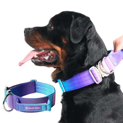 Spark Paws Taktisches Hundehalsband – Robuste, Premium-Qualität, Dick und Langlebig für Große und Mittelgroße Hunde - 90s Retro - L von Spark Paws